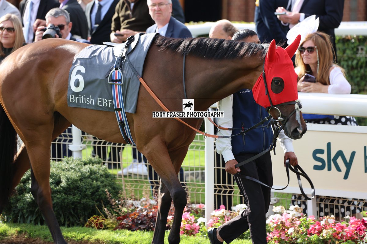 Rory Fraser Photography🤘 tweet media