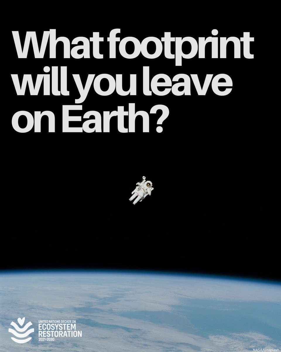 Want to help restore the planet but don't know how?

Use this gamified approach to find an action you can take—some in just 11 minutes. From planting trees to changing how we produce and consume, find your action and join #GenerationRestoration: decadeonrestoration.org/game
