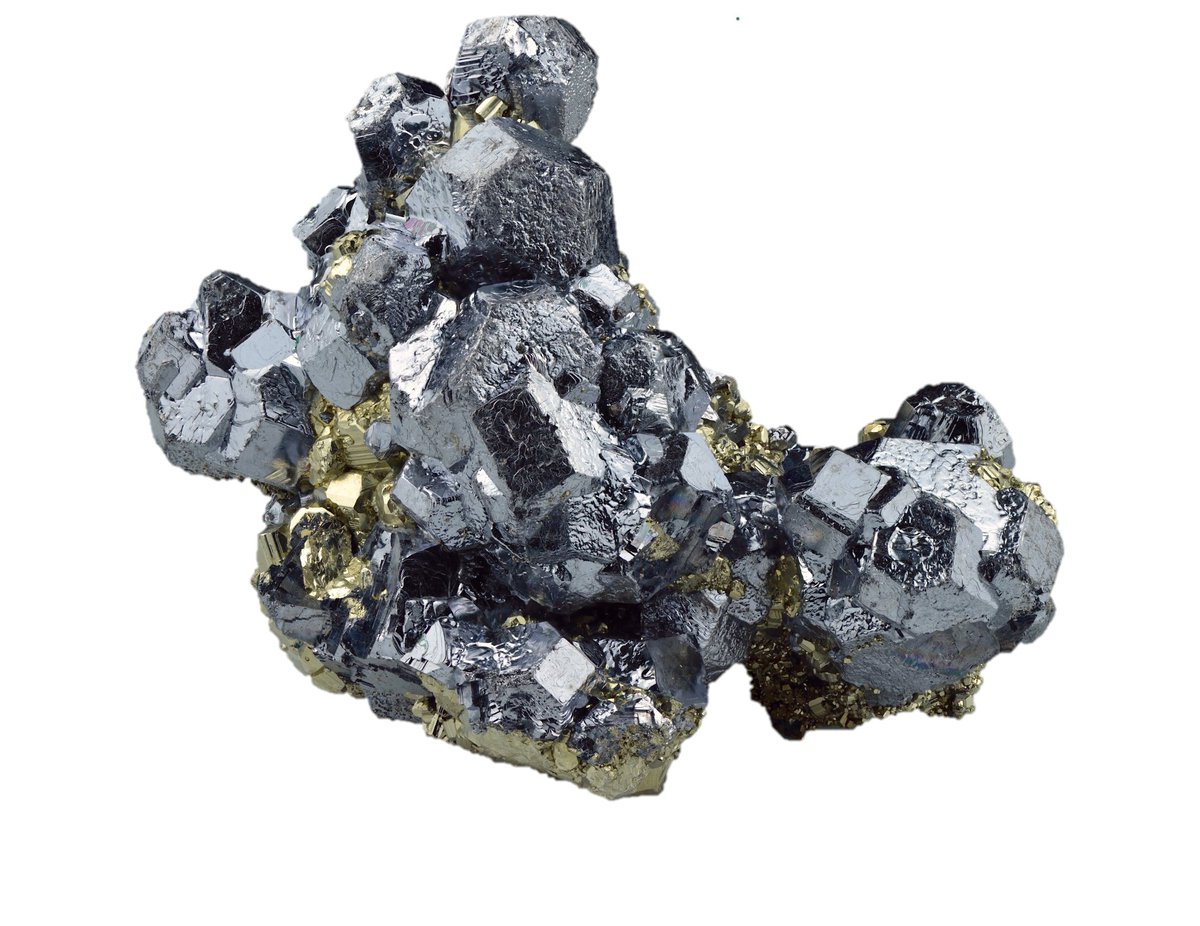 Steven Sloan tweet media