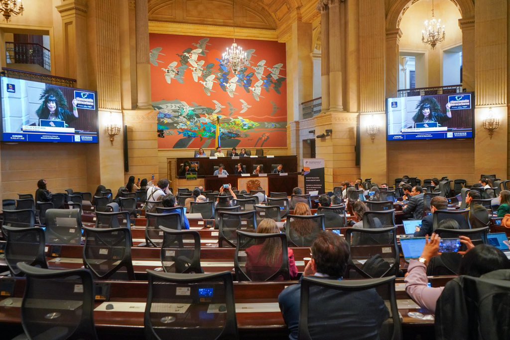 En el Capitolio Nacional, la viceministra <a href="/tatianaroaa/">tatiana roa avendaño 🌎☘️🌿☀️</a> acompañó la Audiencia Pública por una Amazonía libre de combustibles fósiles. Allí compartió la visión del Gobierno Nacional frente a uno de los temas estratégicos que marcarán su participación en la próxima COP30 de Cambio