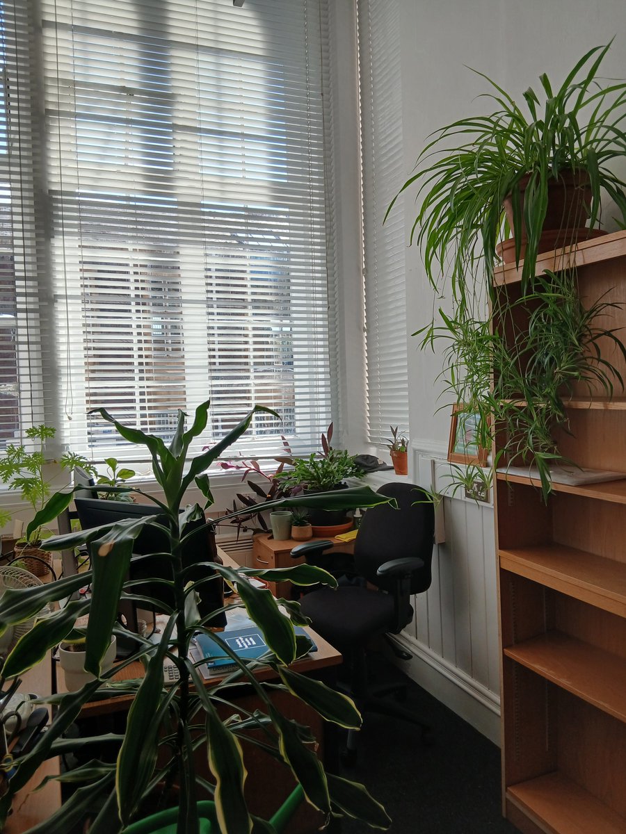 Working place is getting mad
 🔥🪴🌱🪻😎