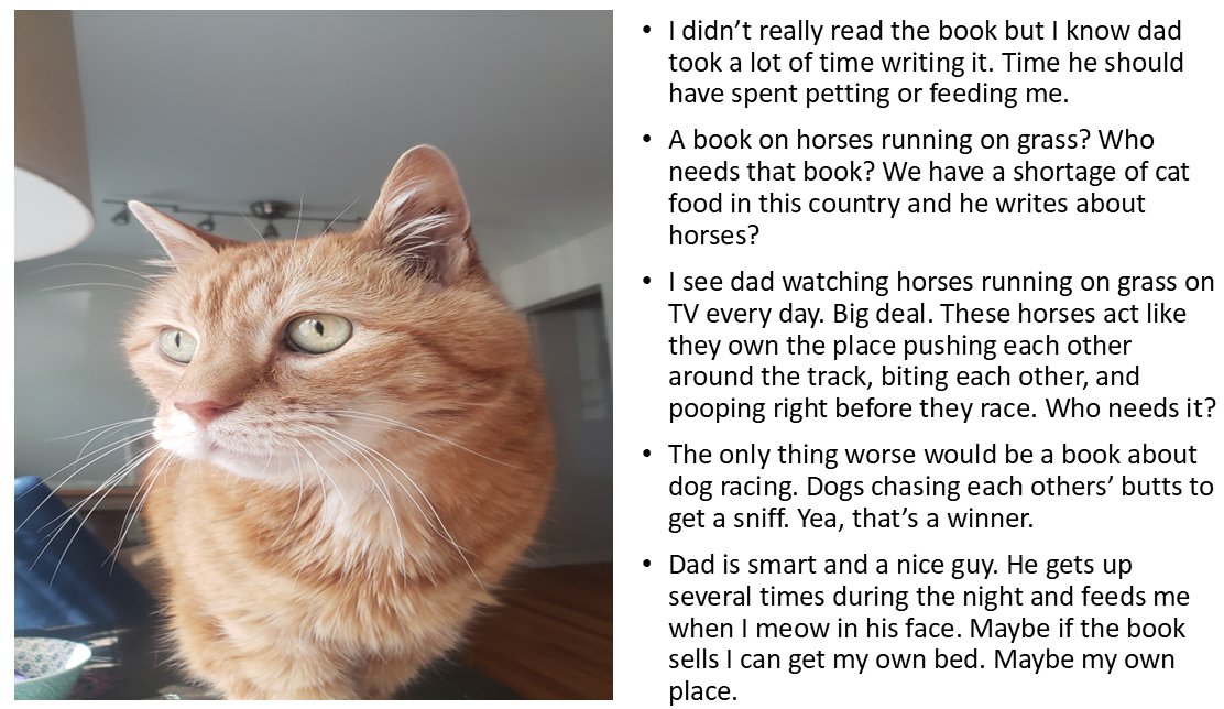 MetricsFantasy's tweet photo. The author's cat reviews the new book on turf racing. @MikeKratville https://t.co/eqOv4kSpjo