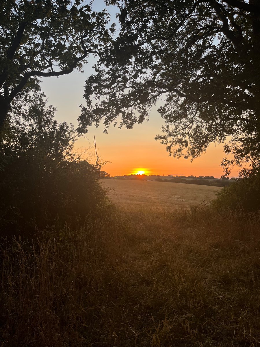Daywales's tweet photo. Tonight’s sunset. https://t.co/sMVKWSQbux