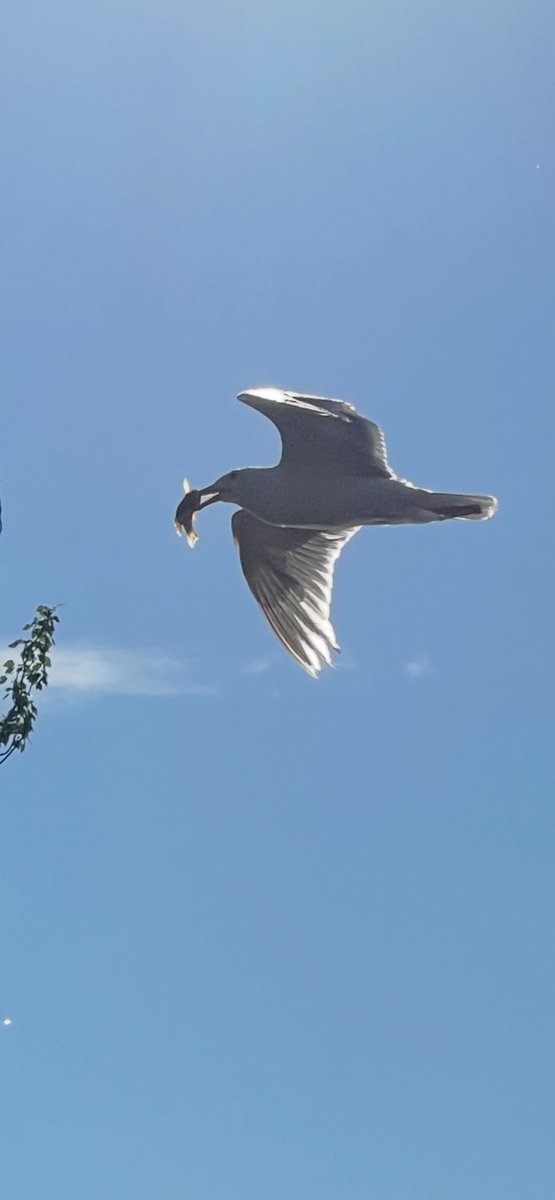 thisis6s's tweet photo. early bird https://t.co/3EceWggSt0