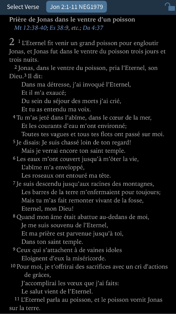 Tu es
au fond du gouffre
Dans les ténèbres
désespéré
?

Lis la prière de Jonas dans le ventre du poisson