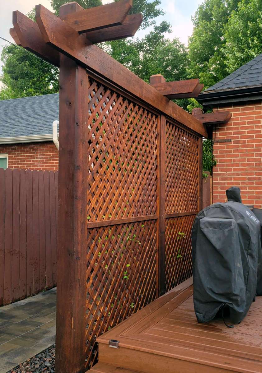 Thunderbird Design tweet media