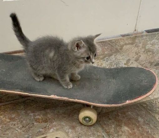 qualified for <a href="/projectvgg/">PROJECT V</a> pro series 👍