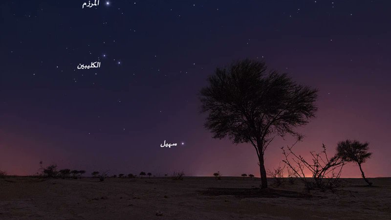 بعد يومين يعود من جديد نجم سهيل ليعيدني الى
هذا النص  :

عوّد سهيل يغري روحي المتعبه
للسفر والسفر أبعد من أحبابها

والهوى من بلادي كيف ما يجذبه
وهي قطعة سحاب أدناة ما جابها

هاجرت ما لقت أرضٍ على كوكبه
تِنبت الورده اللي أحمل أطيابها

بين طياتها لي ضامرٍ عذّبه
رغبةٍ ما تموت الا