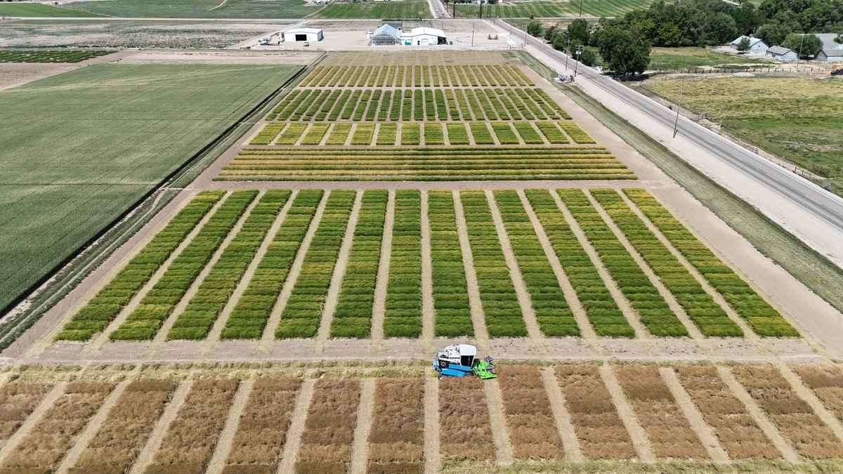 VisionBioSeeds tweet picture
