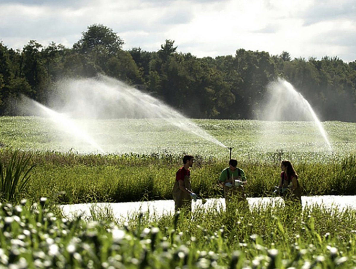 There’s a 600-acre secret in State College.

It’s not a landmark. 
Not a park. 
Not on most maps.


But it’s quietly redefining sustainability—and the way we think about water.

Read the story + subscribe:
bit.ly/3HAcPA2

 #HappyValley #ConnectHappyValley #PennState