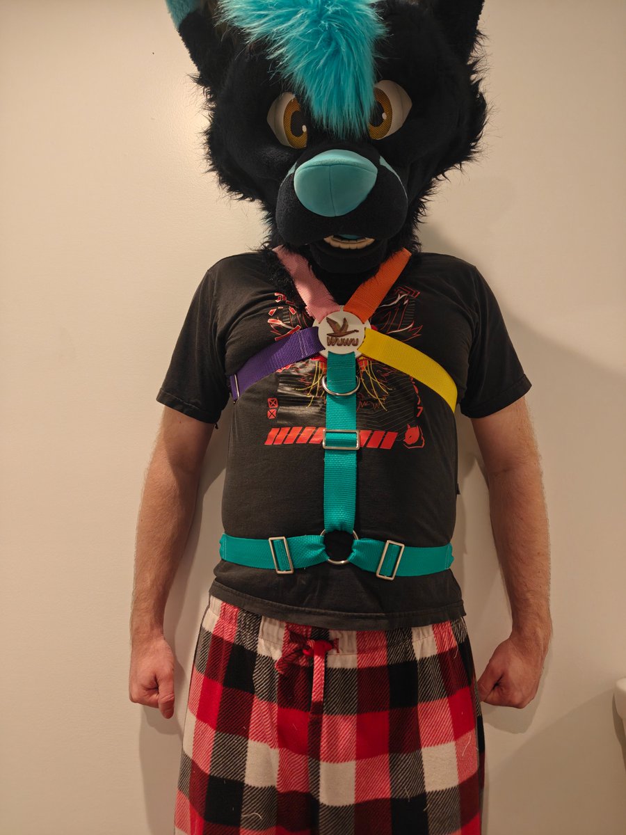 For anyone going to #Furrydelphia2025 i have several of these harnesses and should be making some bulldog style harness to pedal at the con. (Can also potentially take some requests)