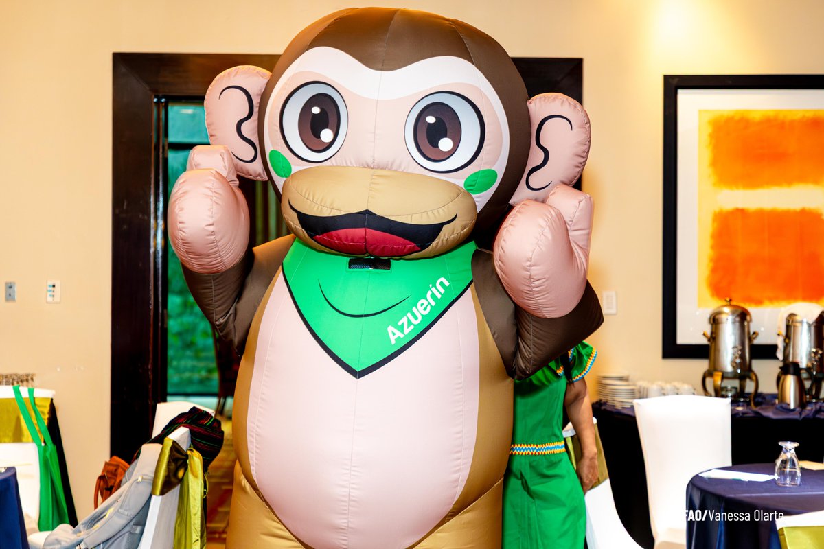 🧵Hoy en Panamá se desarrolló la primera reunión del Comité Consultivo Nacional del programa de Adaptación basada en Ecosistemas (AbE), una iniciativa regional para fortalecer la resiliencia climática en el Corredor Seco y zonas áridas de República Dominicana.