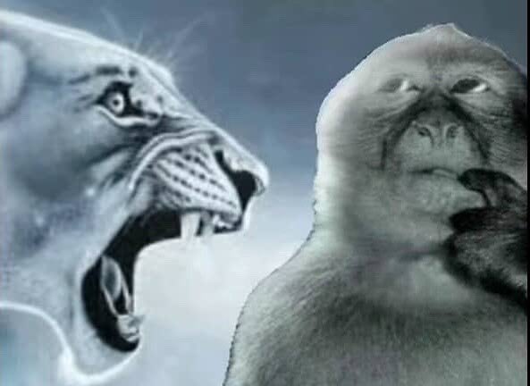 Bungie’s response to the massive backlash of this twab: