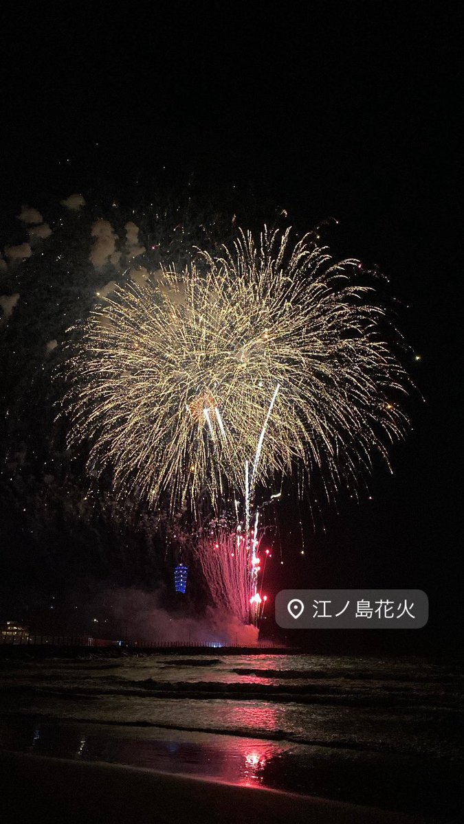 kitty_chuu2's tweet photo. 夏を感じた🌴 https://t.co/NrTtSJaXuU