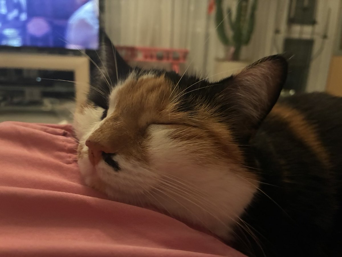 #Bella