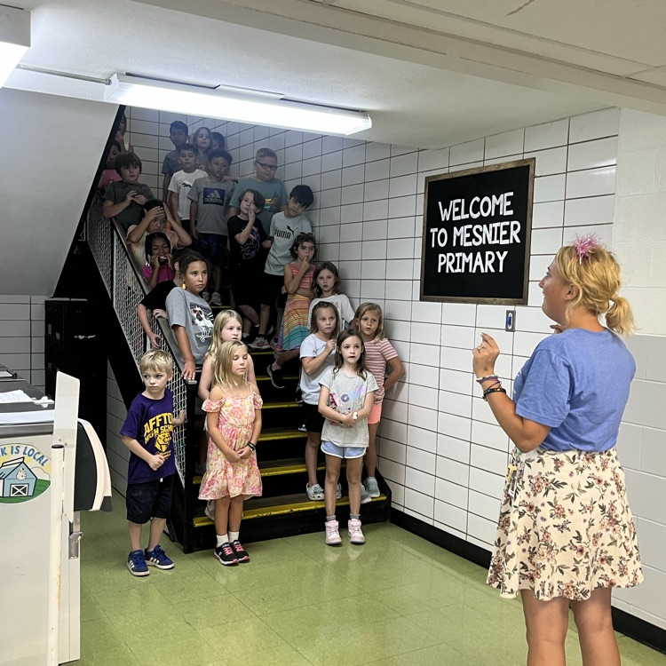 Mesnier Primary tweet media