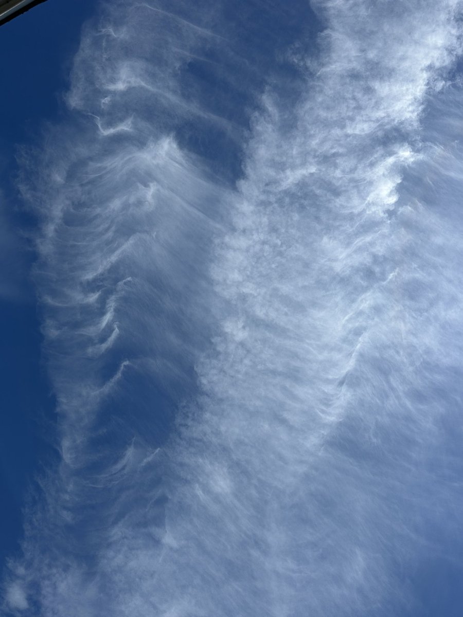 E-Marie (@fiddlestix007) on Twitter photo 8/21/2025
Los Angeles
Orange County
All day chemicals falling from our skies.
Stop the stratospheric aerosol injections! Pollinators are dying.
Audit the sprays!
<a href="/RealGeoEngWatch/">Dane Wigington</a> <a href="/POTUS/">President Donald J. Trump</a> <a href="/SusieWiles/">Susie Wiles</a> <a href="/EPA/">U.S. EPA</a> <a href="/GavinNewsom/">Gavin Newsom</a> <a href="/DOGE/">Department of Government Efficiency</a> @HHS @ChildensHD 8/21/2025
Los Angeles
Orange County
All day chemicals falling from our skies.
Stop the stratospheric aerosol injections! Pollinators are dying.
Audit the sprays!
<a href="/RealGeoEngWatch/">Dane Wigington</a> <a href="/POTUS/">President Donald J. Trump</a> <a href="/SusieWiles/">Susie Wiles</a> <a href="/EPA/">U.S. EPA</a> <a href="/GavinNewsom/">Gavin Newsom</a> <a href="/DOGE/">Department of Government Efficiency</a> @HHS @ChildensHD