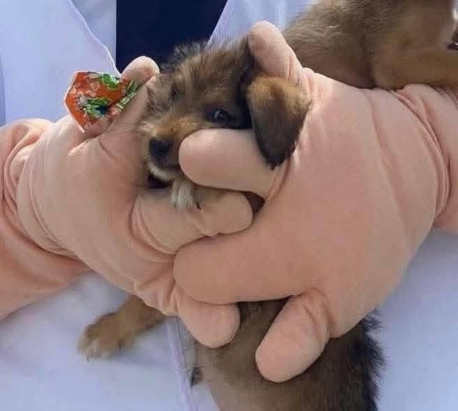 Ayuuraaaaaaaaaaaaaa 😩🤣