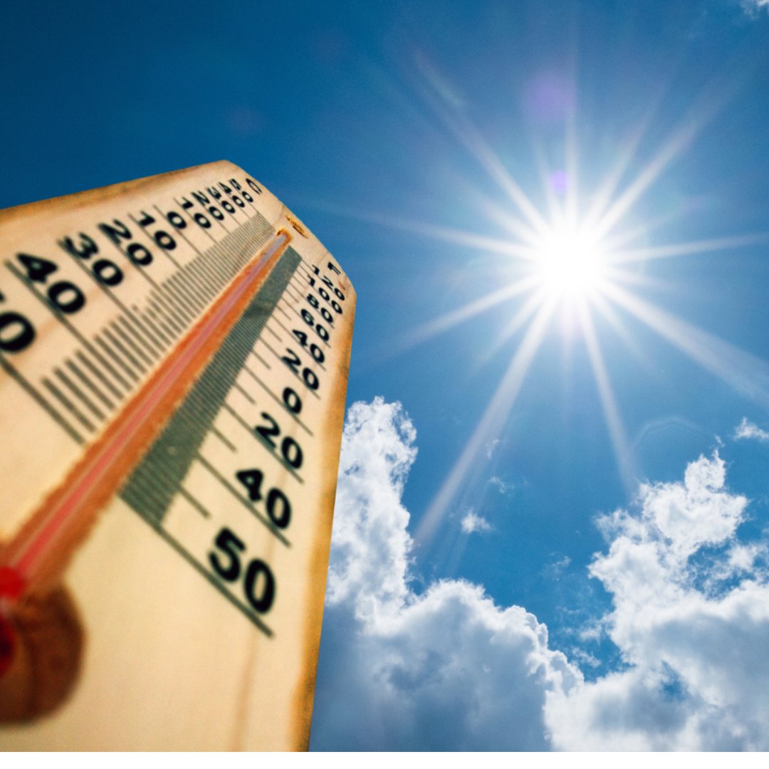 Fremont_CA's tweet photo. The National Weather Service has issued a Heat Advisory for Fremont today until 10:00 pm tonight. Based on forecasted high temperatures of 92°F, Cooling Centers in Fremont will be open today, Thursday, at the City’s Age Well Centers, the Fremont Main Library, and some of our community centers. For locations and times of cooling centers and safety tips, please visit  https://t.co/v4MskGn2U3.