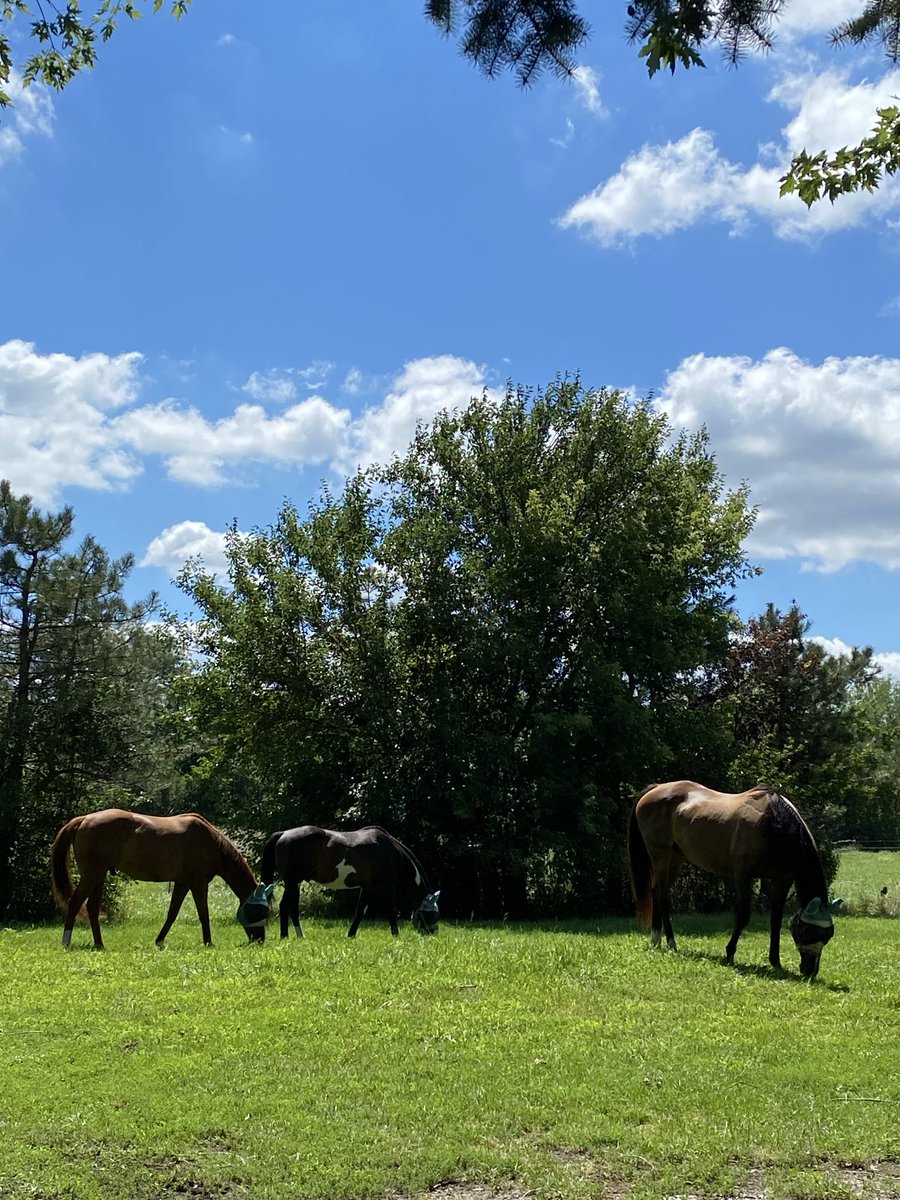 Good Afternoon Friends 
Picture perfect  Day