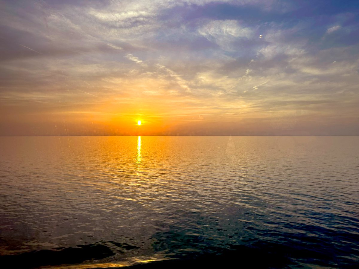 Beau Watson (@beauwatson) on Twitter photo 