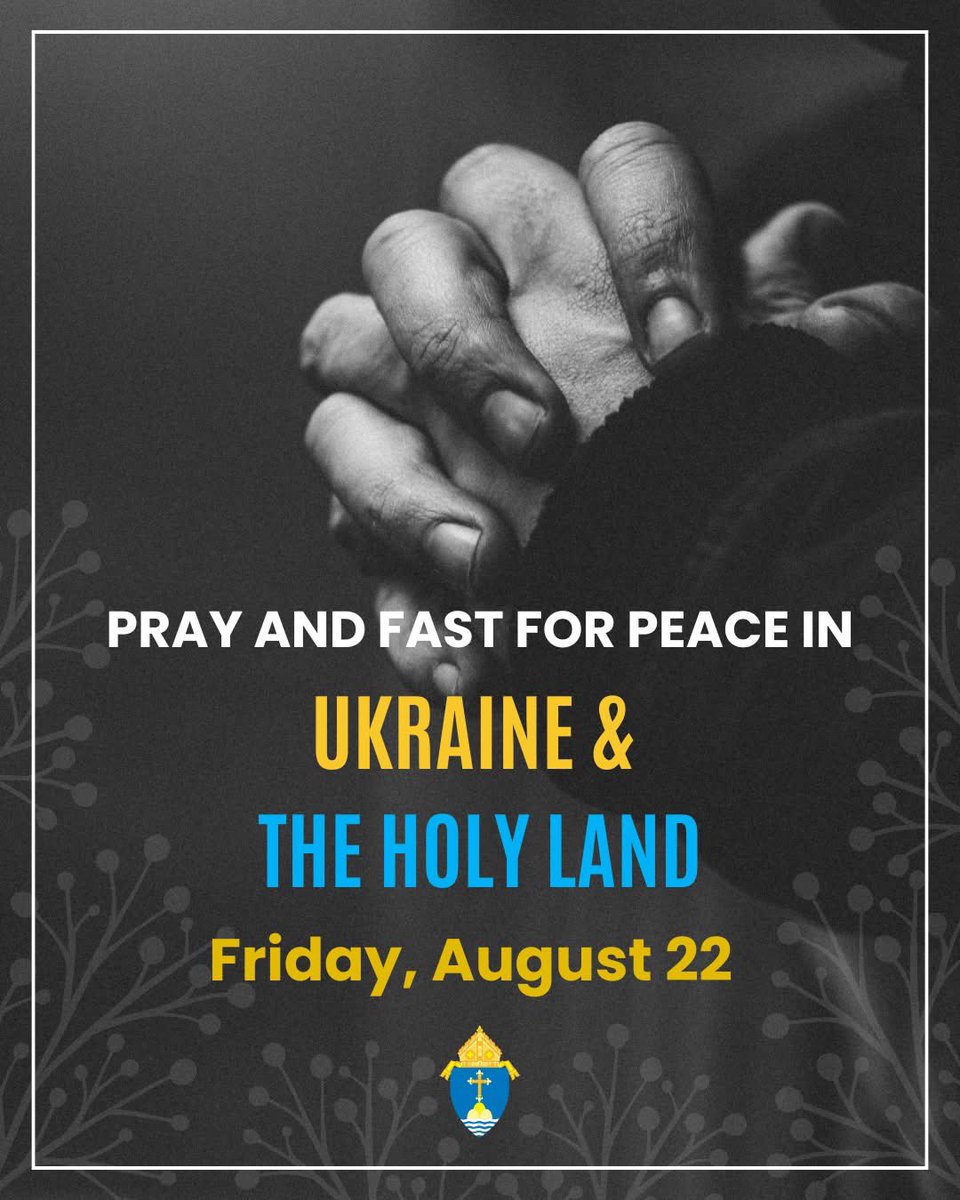 bostoncatholic's tweet photo. Archbishop Henning joins Pope Leo XIV in asking Catholics to fast &amp; pray tomorrow, the Feast of the Queenship of Mary, for peace &amp; justice in Ukraine, the Holy Land &amp; across the world.  🌎 🕊️https://t.co/gvMHnGrc8t https://t.co/rQ6ffhJEbm