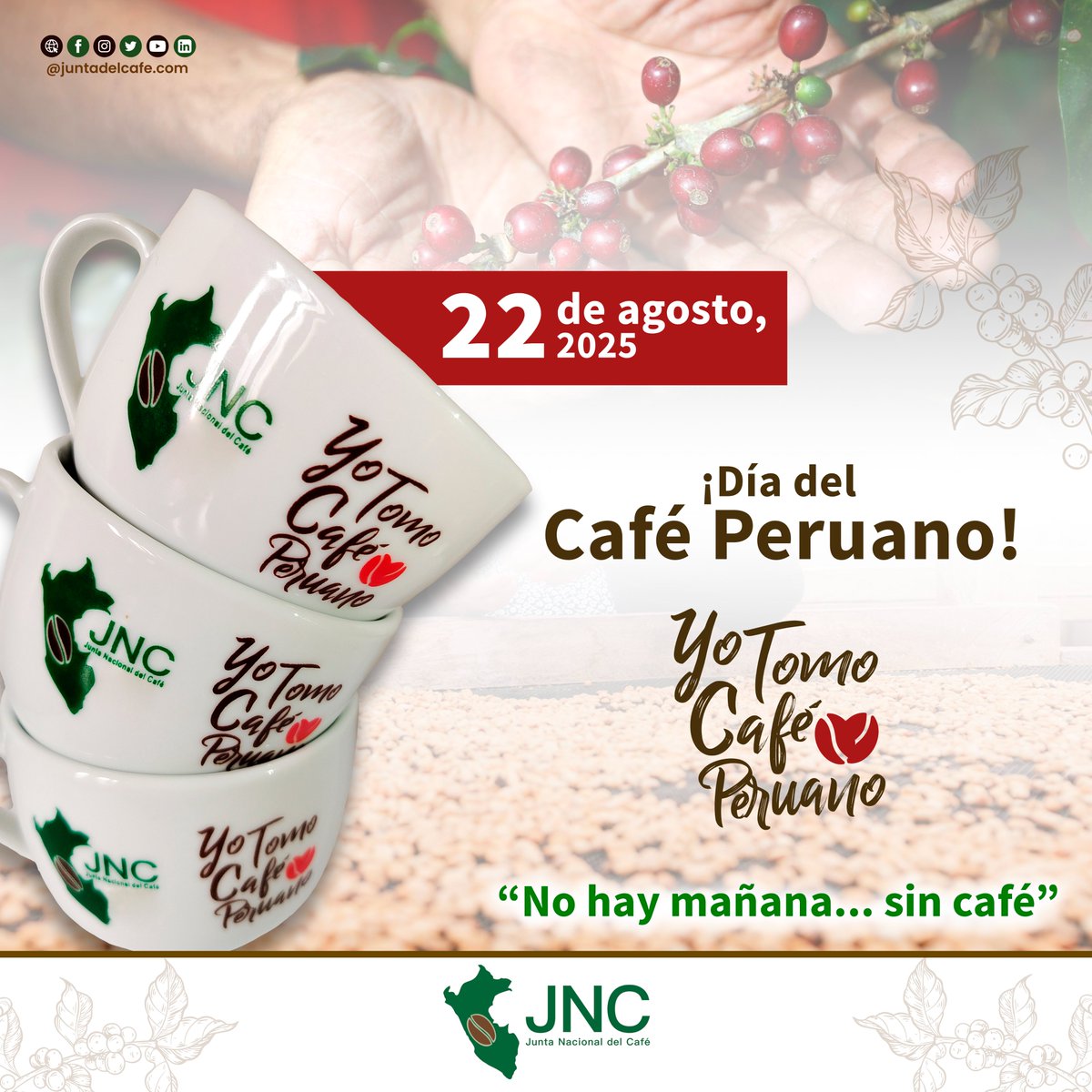 Junta del Café tweet media