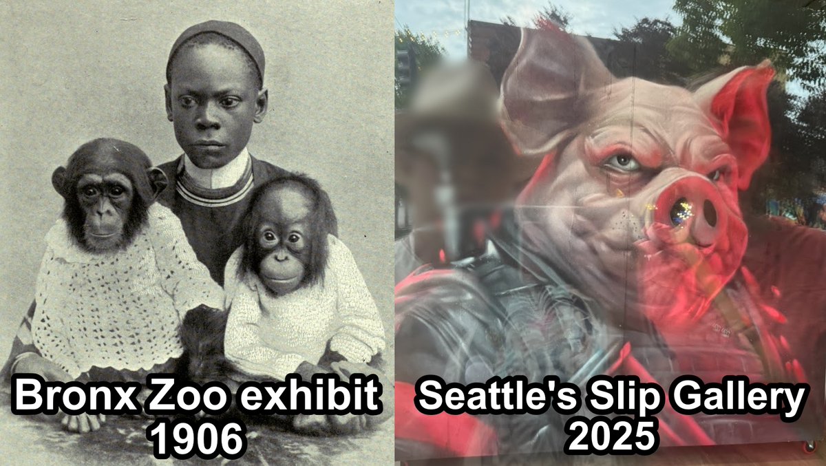 Safe Seattle tweet media