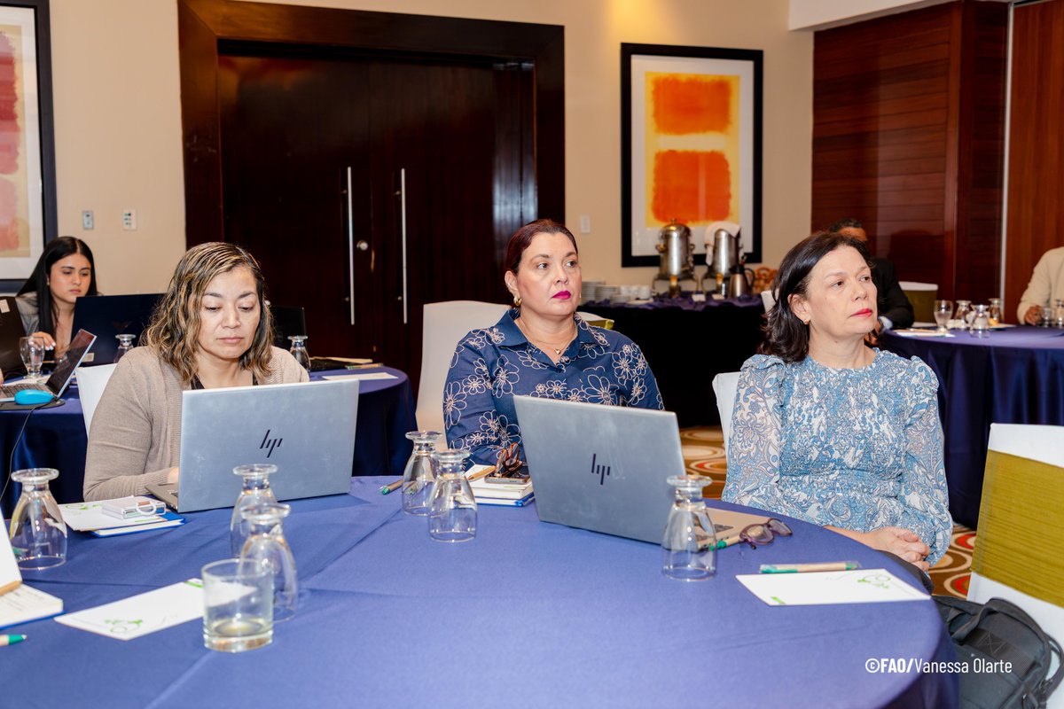 <a href="/MiAmbientePma/">Ministerio de Ambiente de Panamá</a> <a href="/FAO/">Food and Agriculture Organization</a> <a href="/BCIE_Org/">BCIE</a> <a href="/AndPma2021/">Autoridad Nacional de Descentralizacion</a> <a href="/MIDAPma/">Ministerio de Desarrollo Agropecuario</a> <a href="/mefpanama/">MEFPANAMA</a> El programa beneficiará directamente a más de 68,438 personas en zonas vulnerables. 

En Panamá🇵🇦, se enfoca en los municipios de Guararé, Macaracas, Pedasí, Pocrí y Tonosí. La cuenca 126

🍃#MejorMedioAmbiente #AzueroVerde