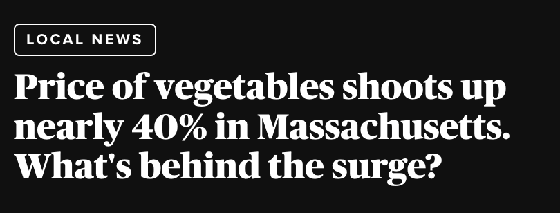 Elizabeth Warren tweet media