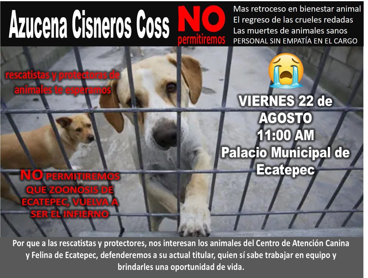 AlessandraLove1's tweet photo. Asiste y comparte https://t.co/6FgeDPydq3