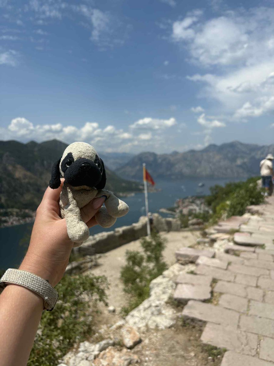 Lamnguin's tweet image. When my niece was born I gave her a small toy dog (Max) to celebrate her 0th birthday. 24 years later she still has him and occasionally sends me photos of his exploits. Drinking, mainly