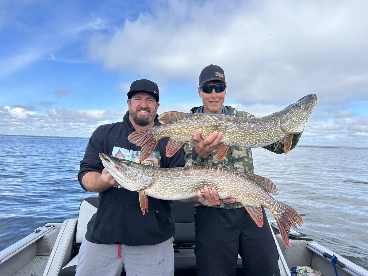 drails14's tweet photo. Pretty good couple hours on the water. Double header on these two and another good one to go with it. https://t.co/RuGhNbZCDq