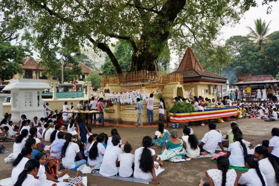 Een wereld van verschil in de bejegening van bomen.  

mysl.nl/ZnKLp