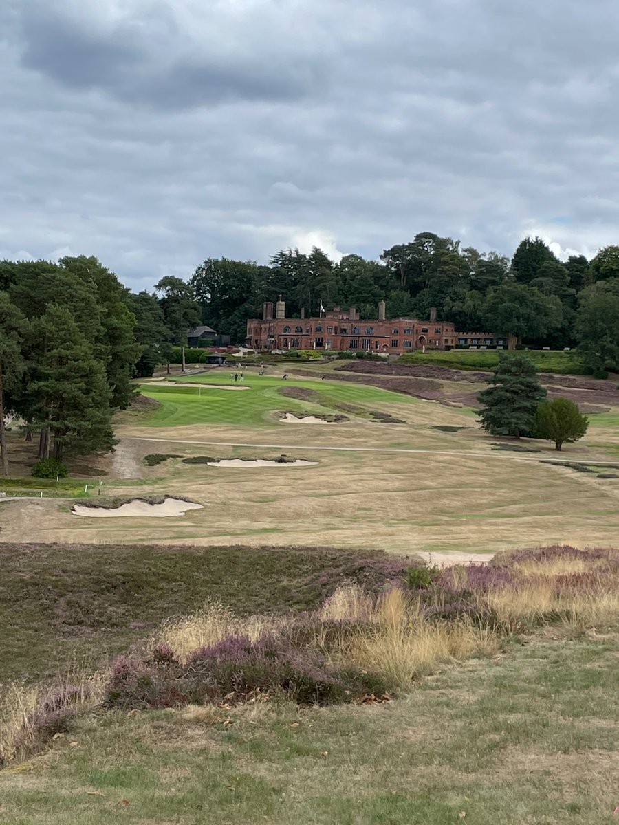 Hawksian tweet media