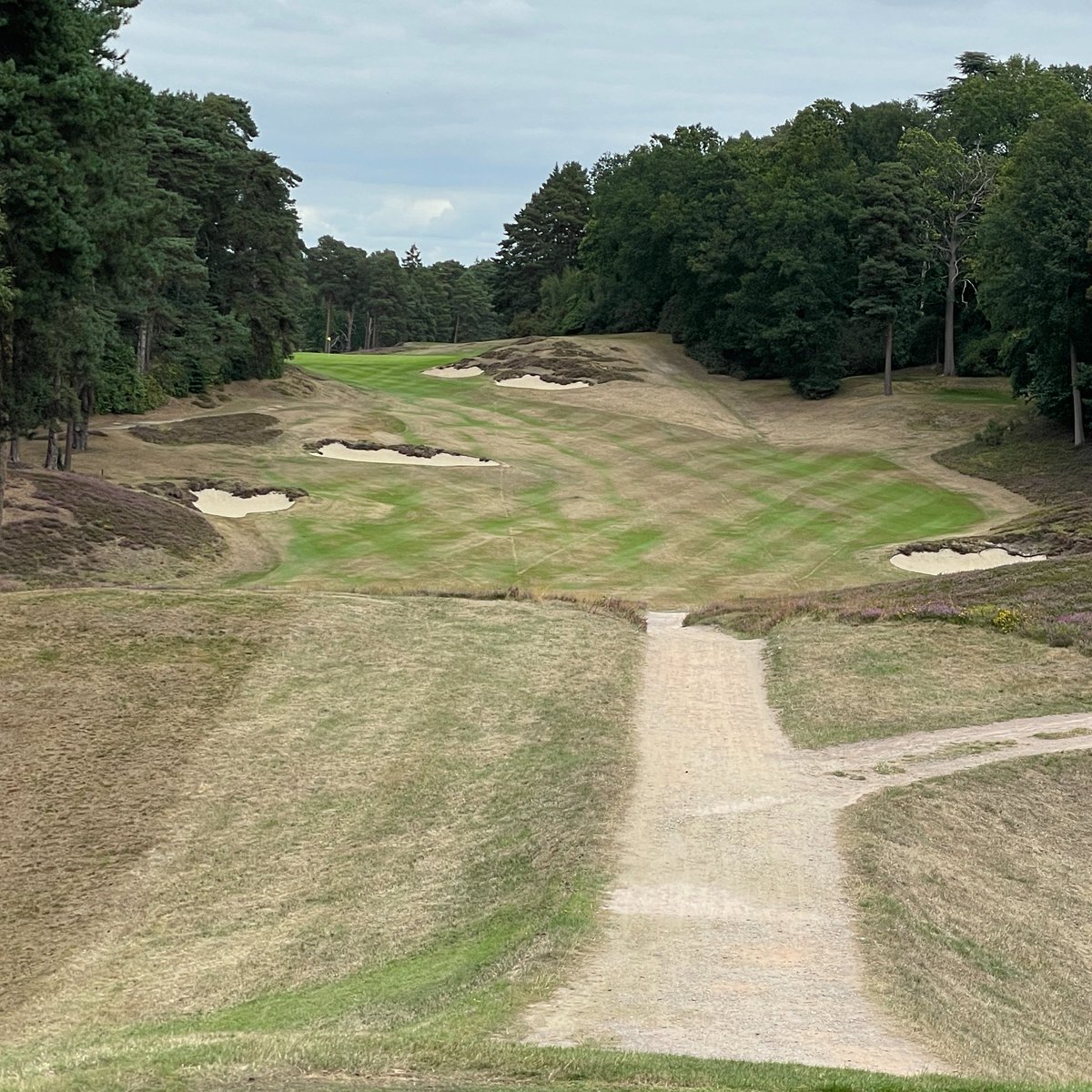 Hawksian tweet media