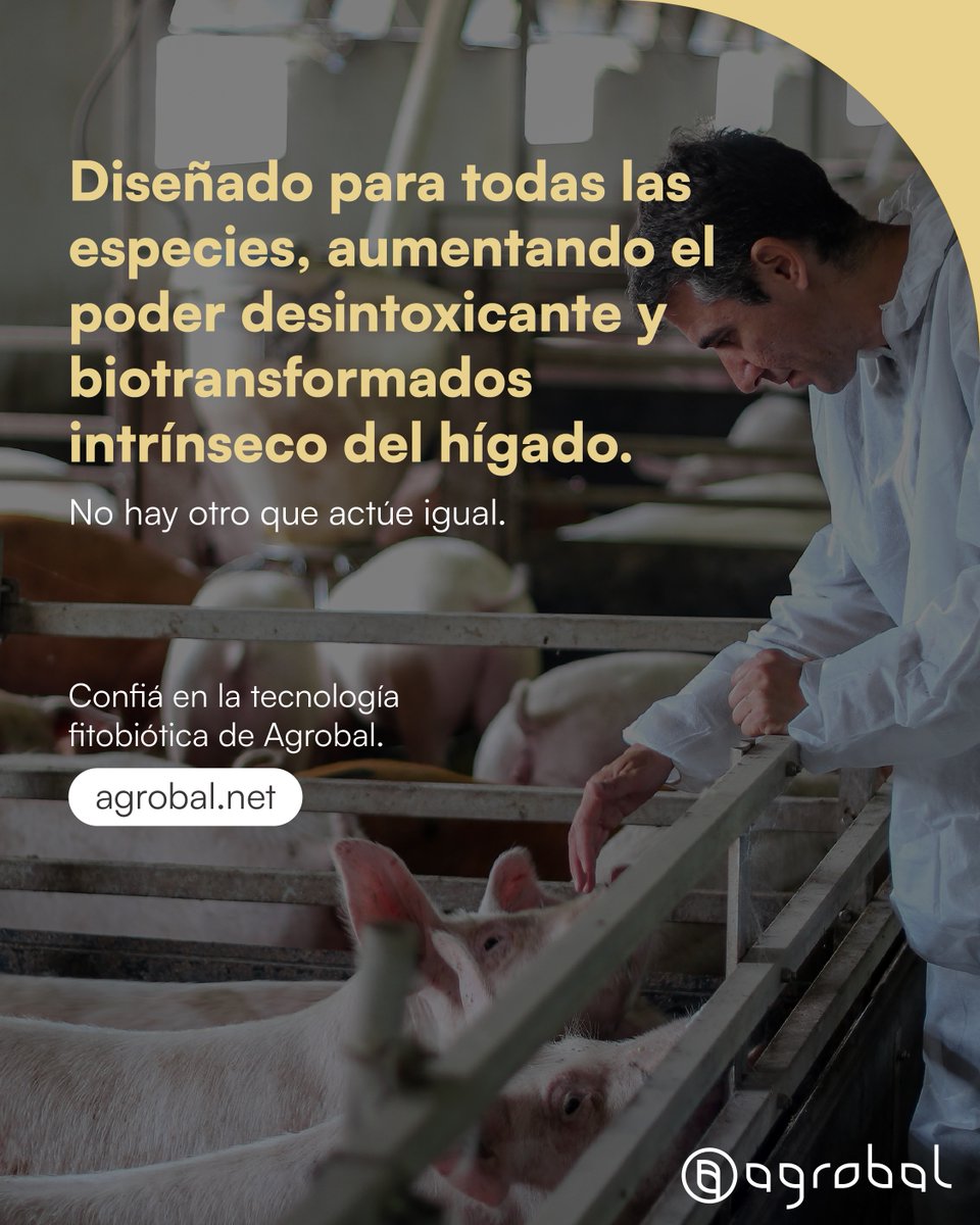 🌿¿Tu sistema exige resultados, pero querés reducir el uso de antibióticos?
T5-X es un aditivo diseñado para mejorar la salud intestinal y el rendimiento productivo en aves, cerdos y terneros
💪Ideal para sistemas intensivos, etapas críticas y condiciones sanitarias desafiantes