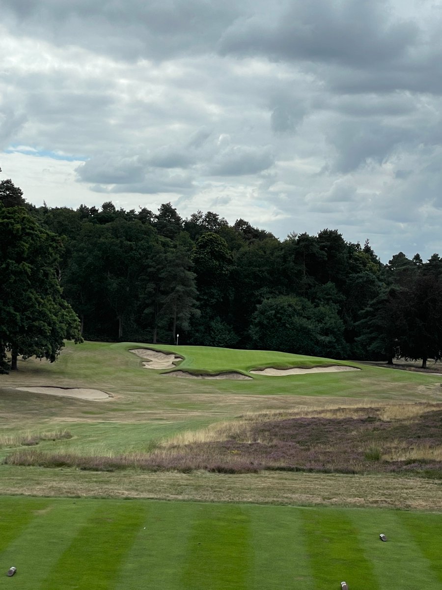 Hawksian tweet media