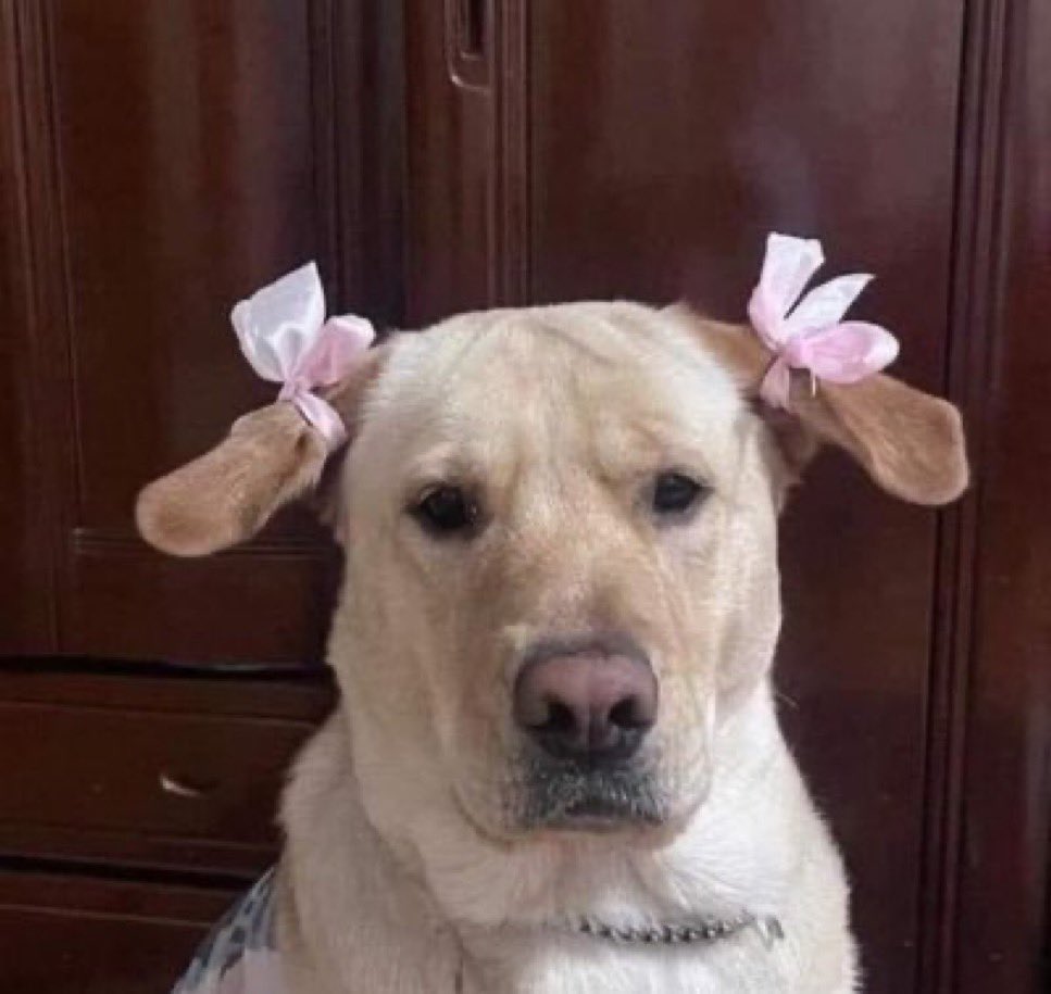 interview went well and the manager was lowkey nice and i lwky couldn’t stop smiling during the whole interview (it’s my coping mechanism for anxiety)