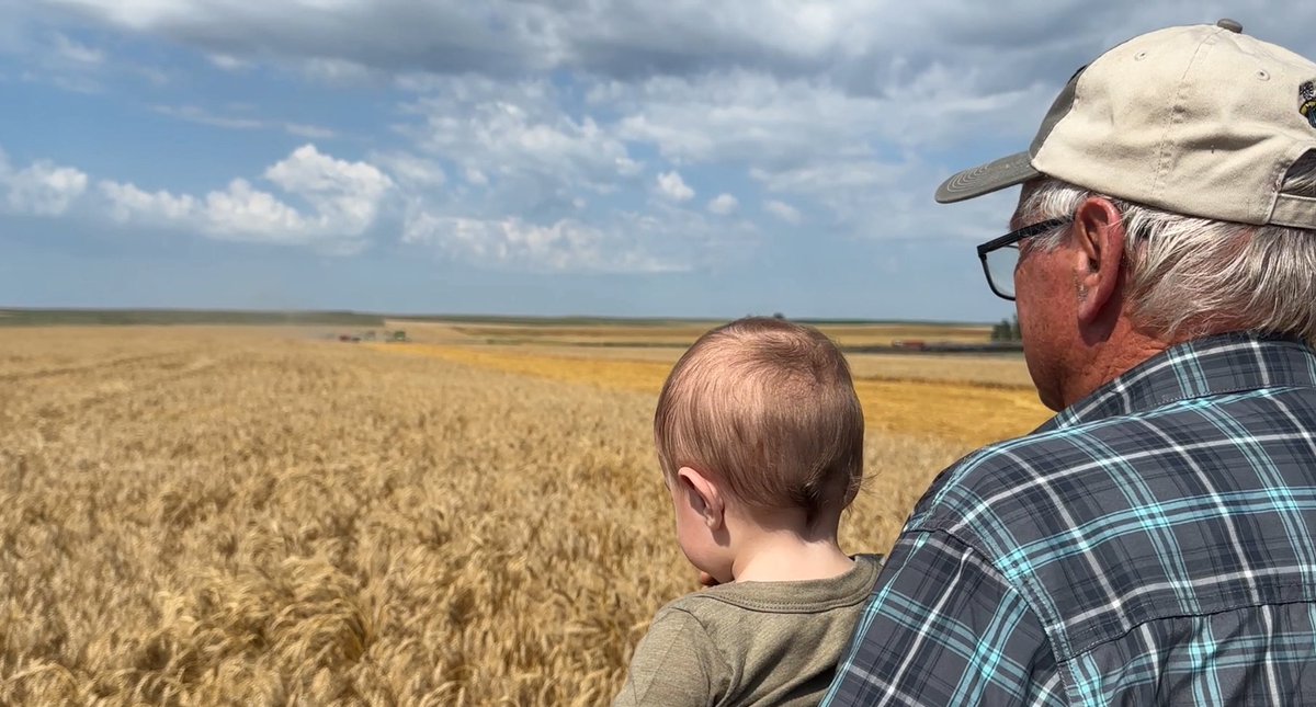 Second and fourth generation farmers Ken and Jake Meidinger are pretty excited about this year’s wheat harvest. 🌾 

Not only is it a good crop, they’re also using some vintage equipment to harvest a few fields. 

We’ll tell you why tonight on <a href="/KFYRTV/">KFYR-TV</a>