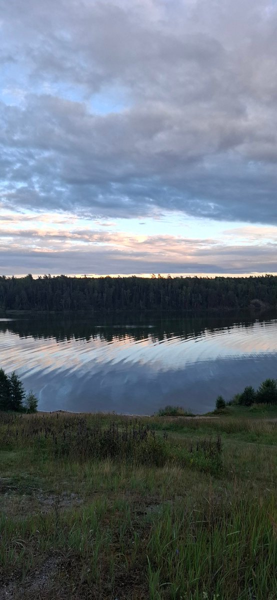 السكينة ليست غياب الحركة، بل حضور المعنى،

التأمل ليس هروبًا من الضجيج، بل إصغاءٌ لصوت الوجود.

كل قطرة ماء، كل نسمة هواء، تهمس لنا:
أن الحياة ليست ما نملك، بل ما نعيشه بصفاء.

صورة 📷 من الغابات الان 😌 حقيقية دون فلاتر