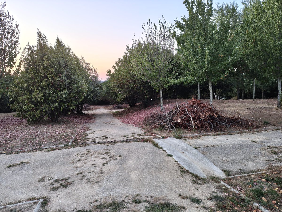 AdrinPosado's tweet photo. @PazodeRaxoi Y en la misma línea, ¿acaso estáis esperando que algún graciosete le acerque un mechero a esto para no tener que recogerlo? Parque del Monte de Conxo. https://t.co/RKQZMCkb4p