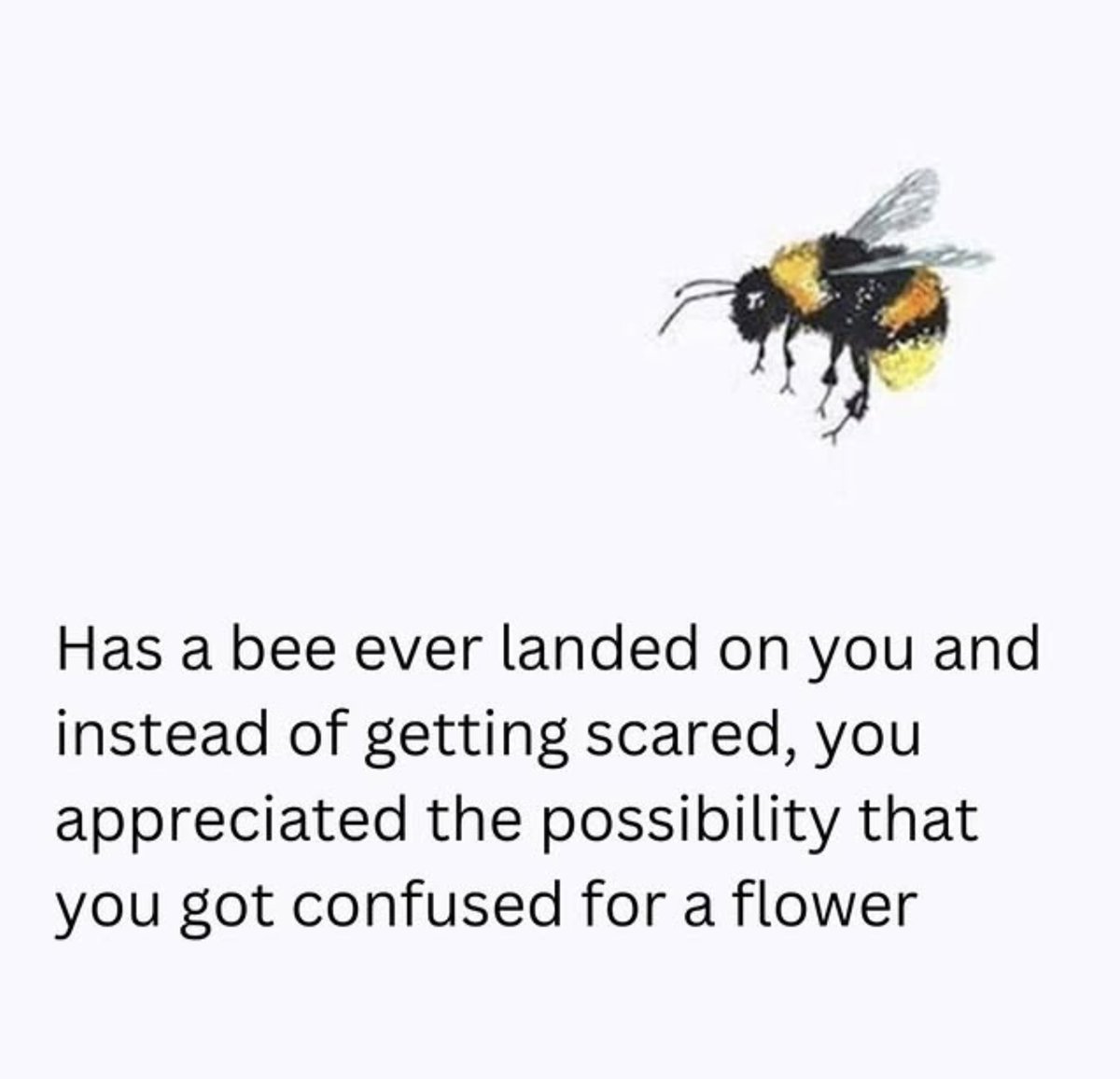 Louis De Jaeger - Commensalist tweet media