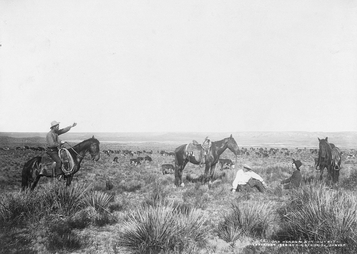 A scene on the XIT ranch in the Texas Panhandle, 1903. The XIT was the largest ranch in history that was ever fenced in, at over three million acres. There are larger ranches in Australia today, but they are not fenced in. The XIT was not a neat square of land but as a giant