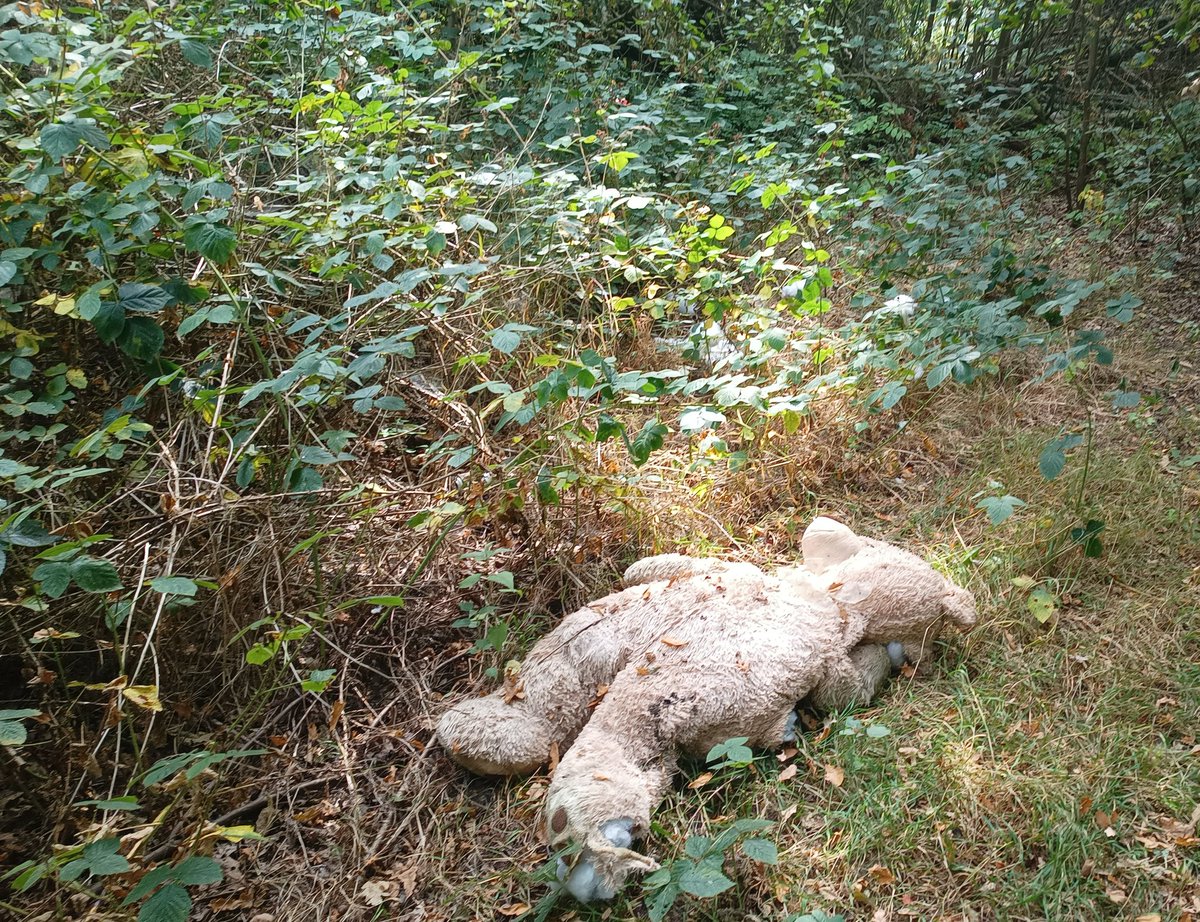 Ever feel like you've had the stuffing knocked out of you?