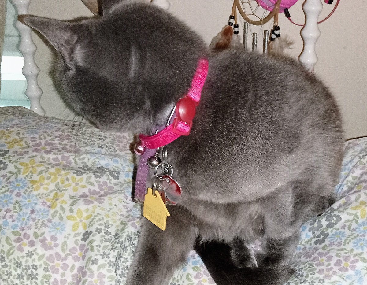 Janie Unknown Writes tweet media