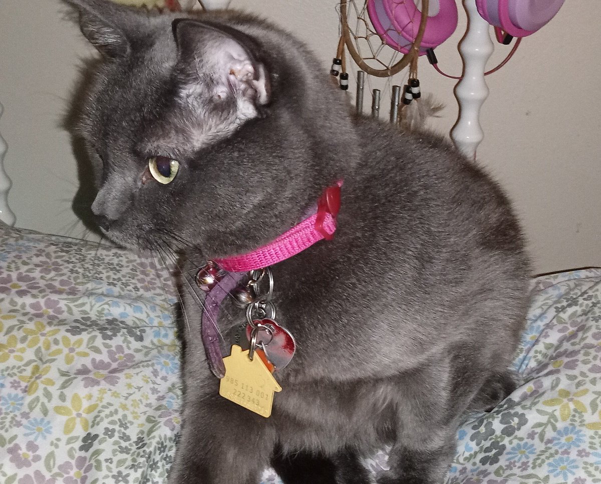 Janie Unknown Writes tweet media