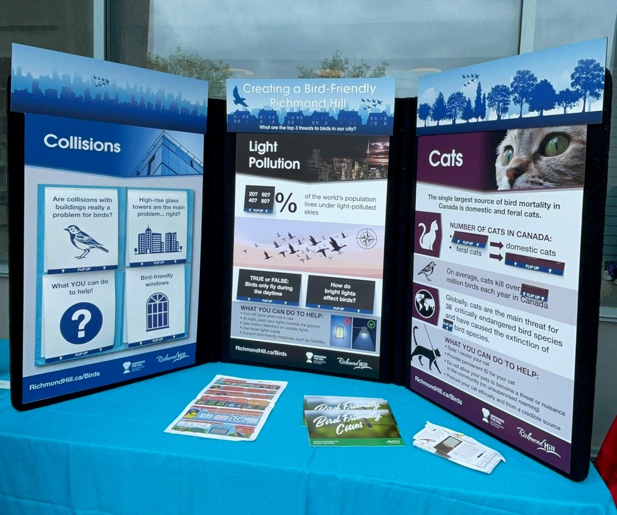 🐦🍂 Birds are on the move! Millions are heading south, but many are hurt or killed after colliding with windows
Found one? Report it at birdmapper.org/to help make buildings bird-safe!
Learn more: flap.org/bird-migration/
&amp; what the City is doing: RichmondHill.ca/Birds