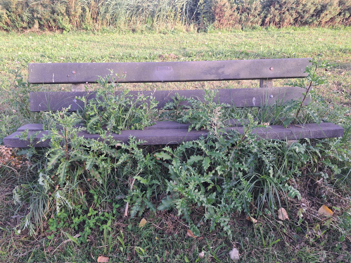 Lekker zitten. Sportpark in Schiedam.