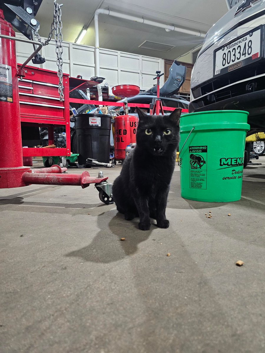 Evie Carshare tweet media